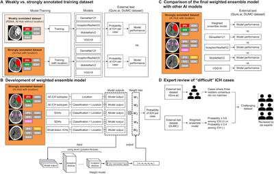 Strengthening deep-learning models for intracranial hemorrhage detection: strongly annotated computed tomography images and model ensembles